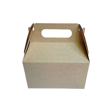 25 Cajas delivery transportable 22x15x17 cm